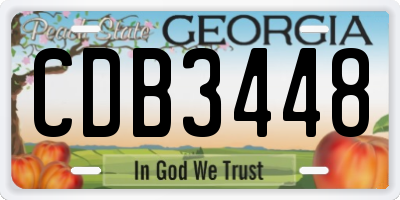 GA license plate CDB3448