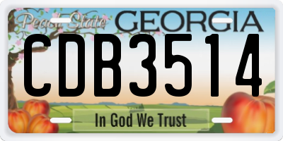 GA license plate CDB3514