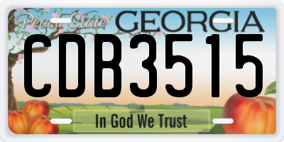 GA license plate CDB3515