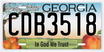 GA license plate CDB3518