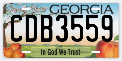 GA license plate CDB3559
