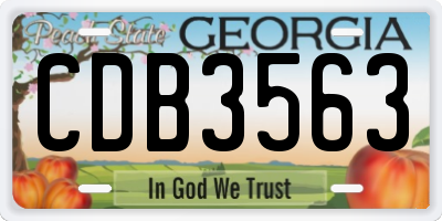 GA license plate CDB3563