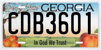 GA license plate CDB3601