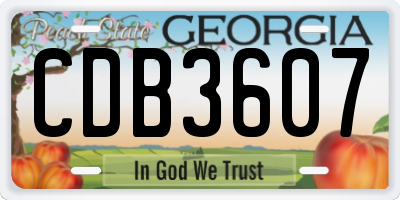 GA license plate CDB3607