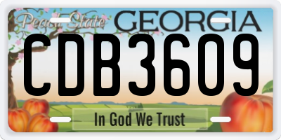 GA license plate CDB3609