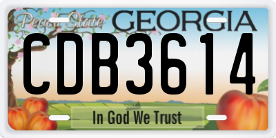 GA license plate CDB3614