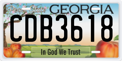 GA license plate CDB3618