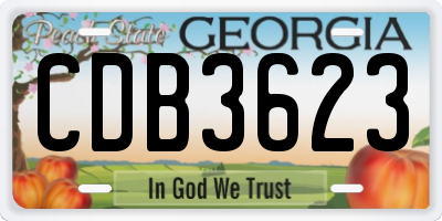 GA license plate CDB3623
