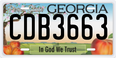 GA license plate CDB3663
