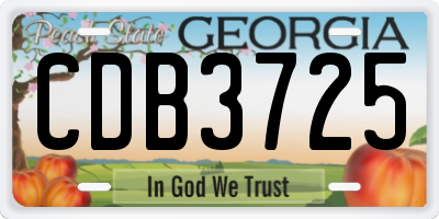 GA license plate CDB3725