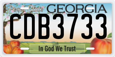 GA license plate CDB3733
