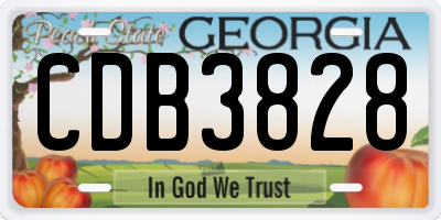 GA license plate CDB3828