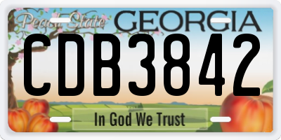 GA license plate CDB3842