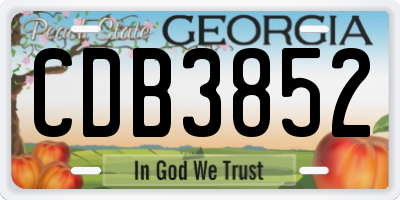 GA license plate CDB3852