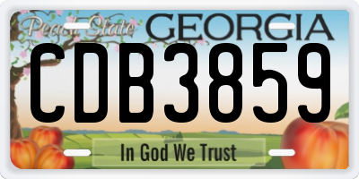 GA license plate CDB3859