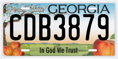 GA license plate CDB3879