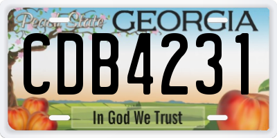 GA license plate CDB4231