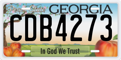 GA license plate CDB4273