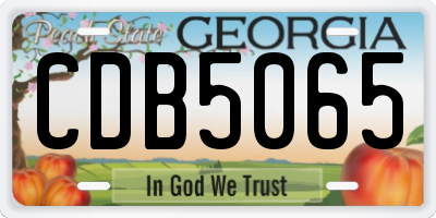 GA license plate CDB5065