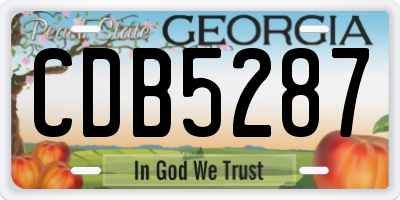 GA license plate CDB5287