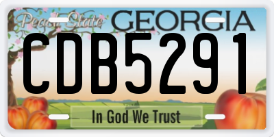 GA license plate CDB5291