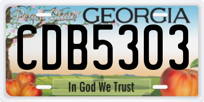 GA license plate CDB5303