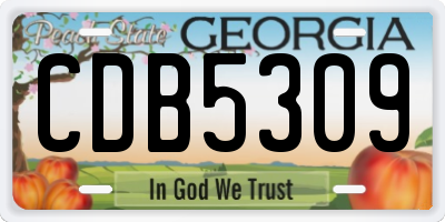 GA license plate CDB5309