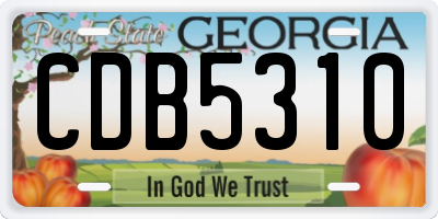 GA license plate CDB5310