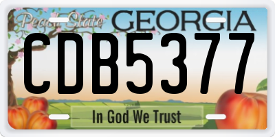 GA license plate CDB5377