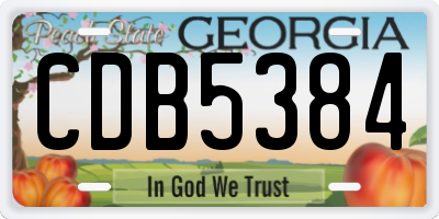 GA license plate CDB5384
