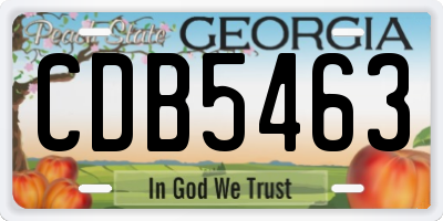 GA license plate CDB5463
