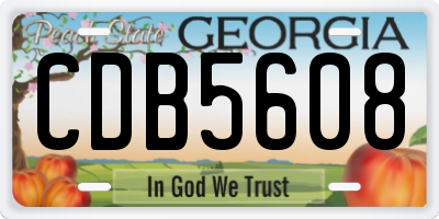 GA license plate CDB5608