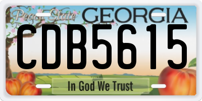 GA license plate CDB5615