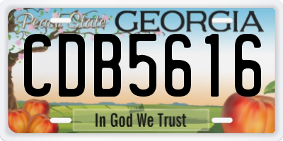 GA license plate CDB5616