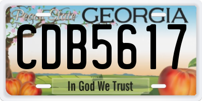 GA license plate CDB5617