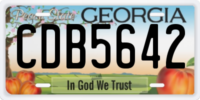 GA license plate CDB5642