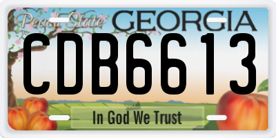 GA license plate CDB6613