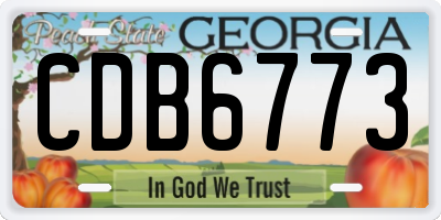 GA license plate CDB6773