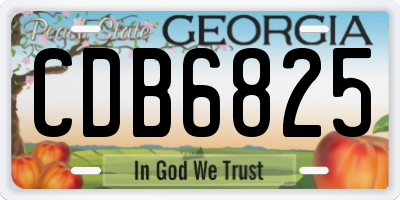GA license plate CDB6825