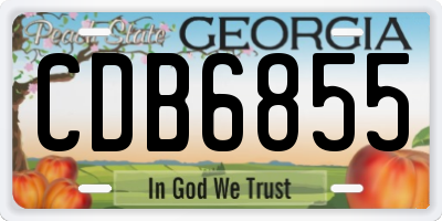 GA license plate CDB6855