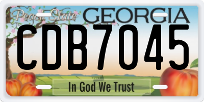 GA license plate CDB7045
