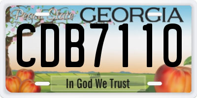 GA license plate CDB7110