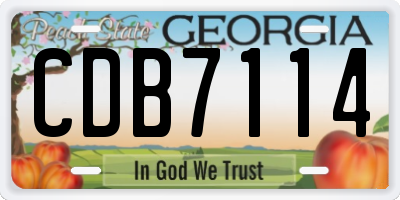 GA license plate CDB7114