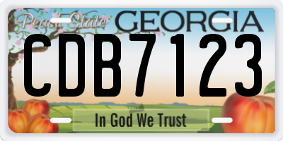 GA license plate CDB7123