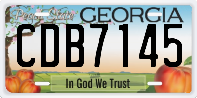 GA license plate CDB7145