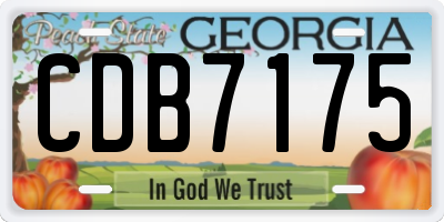 GA license plate CDB7175