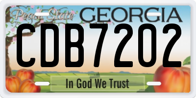 GA license plate CDB7202