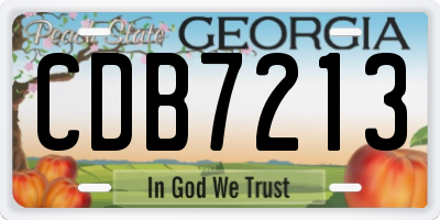 GA license plate CDB7213
