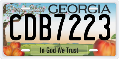 GA license plate CDB7223