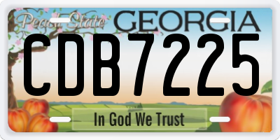 GA license plate CDB7225